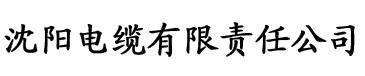 樱桃视频app污电缆厂logo